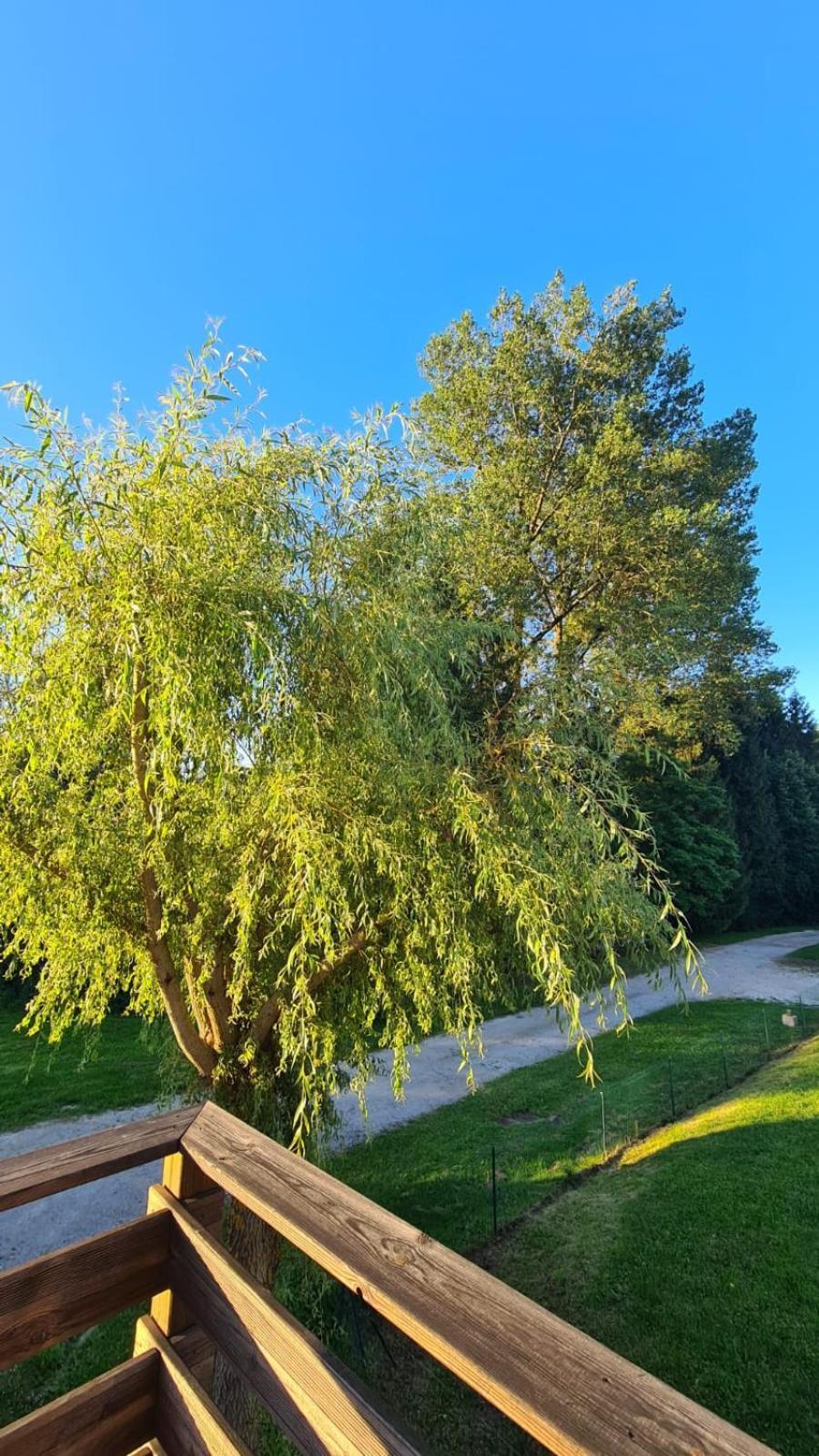 Appartement Sous Le Saule à Nods Extérieur photo
