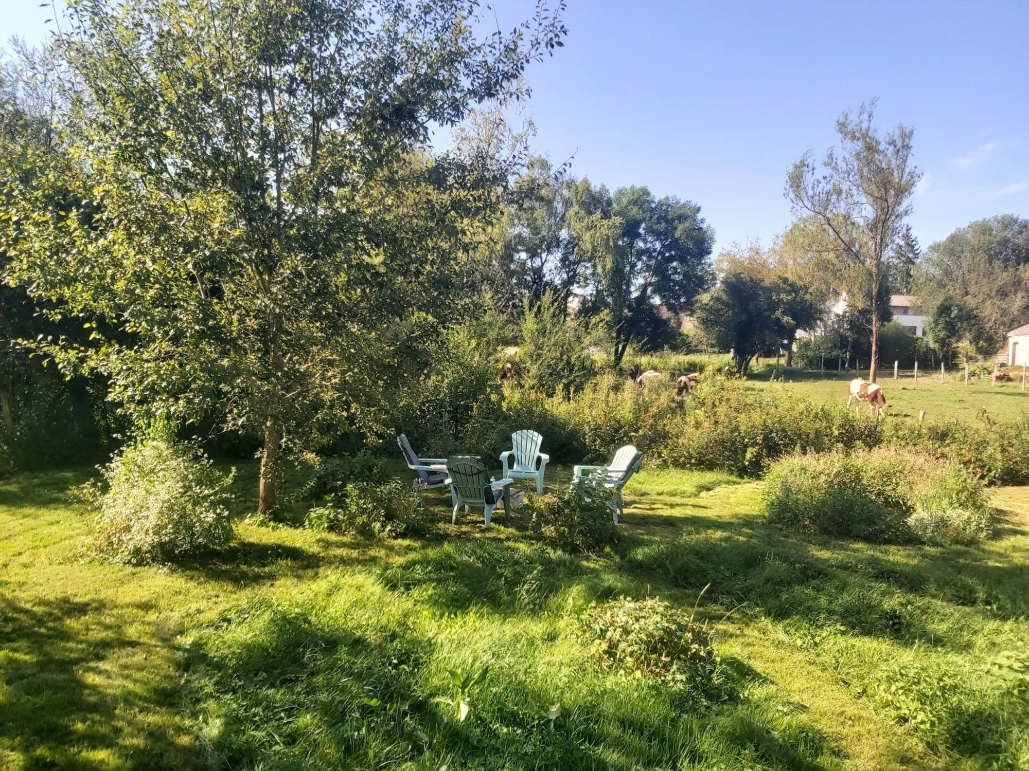 Appartement Sous Le Saule à Nods Extérieur photo